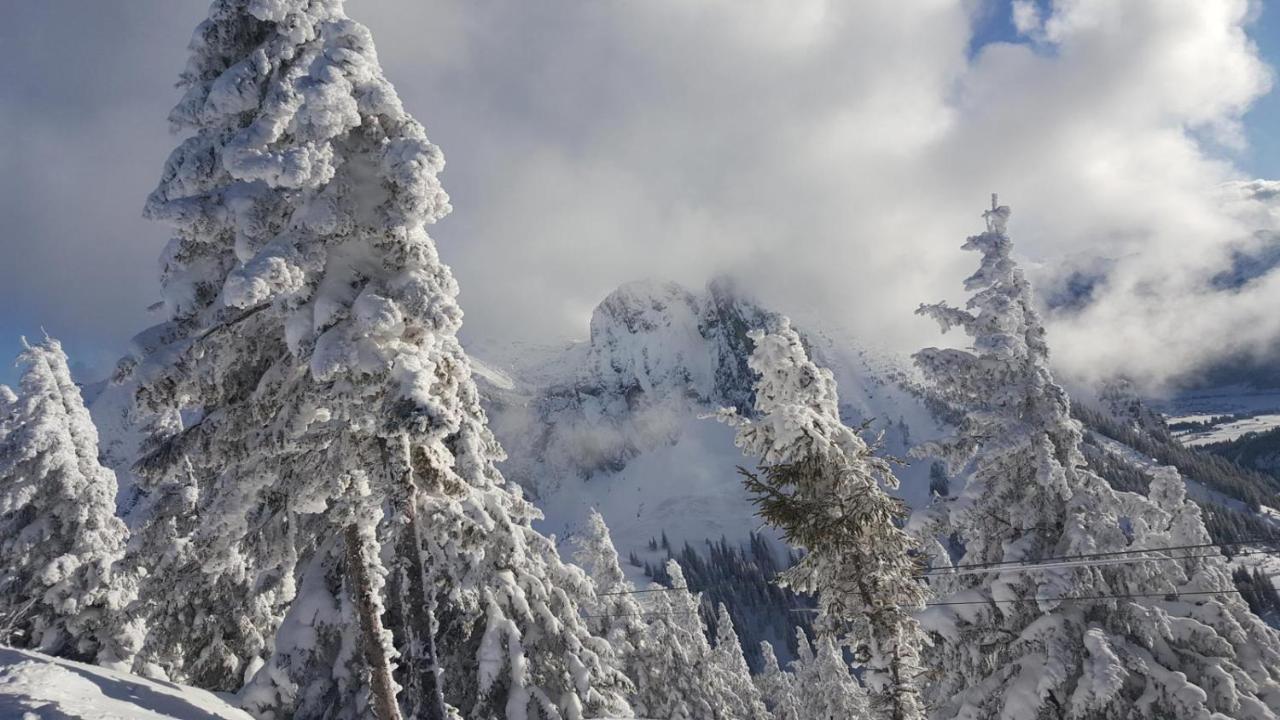 Vila Alpenchalet Vils Tirol Exteriér fotografie